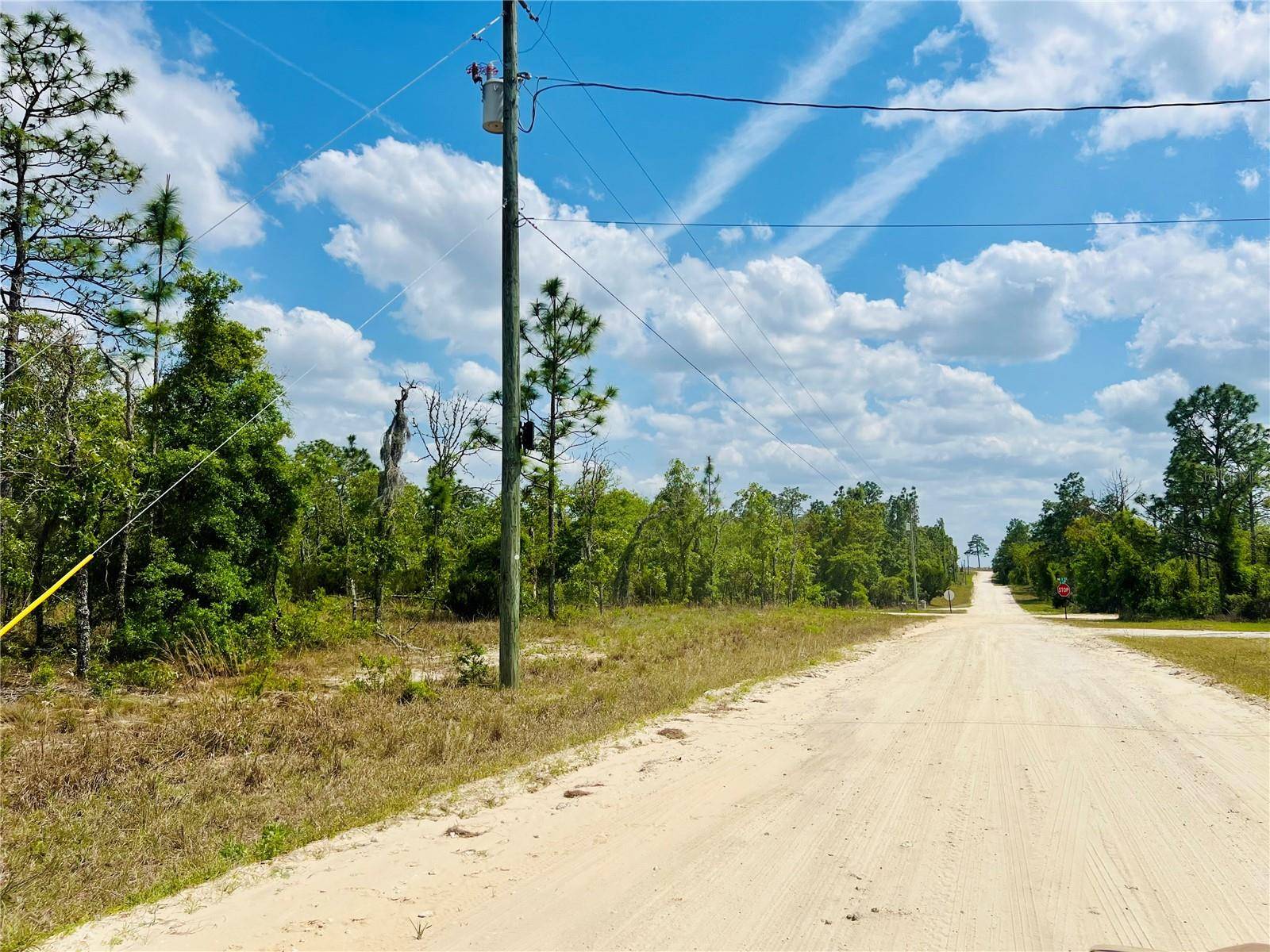 Williston, FL 32696,0000 NE 131 TERRACE TER