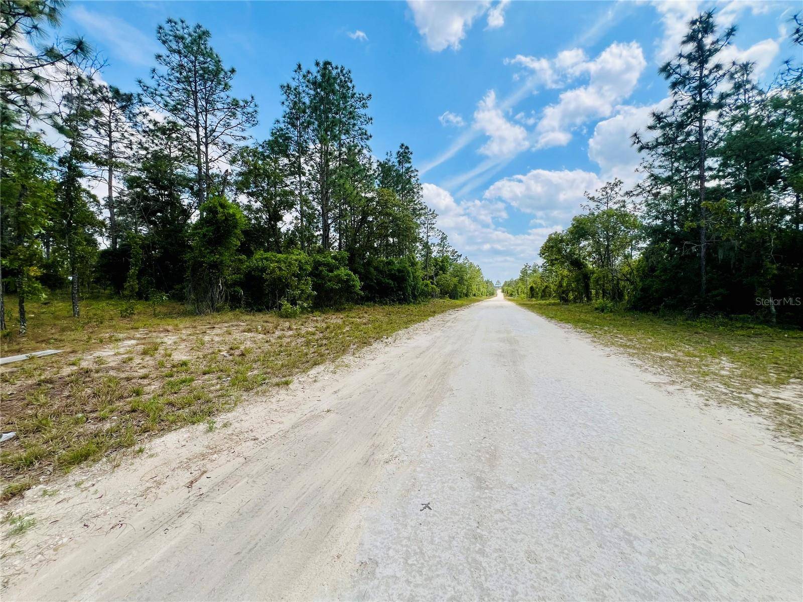 Williston, FL 32696,0000 NE 131 TER