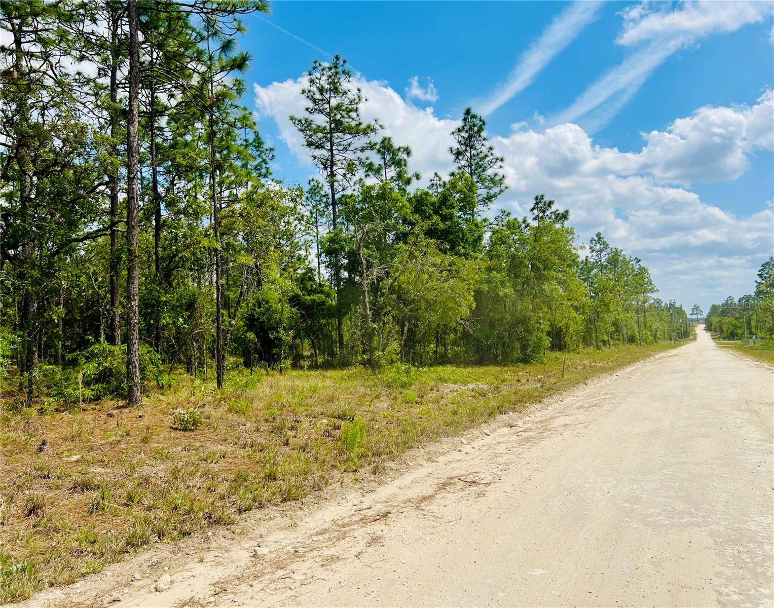 Williston, FL 32696,0000 NE 131 TERRACE TER