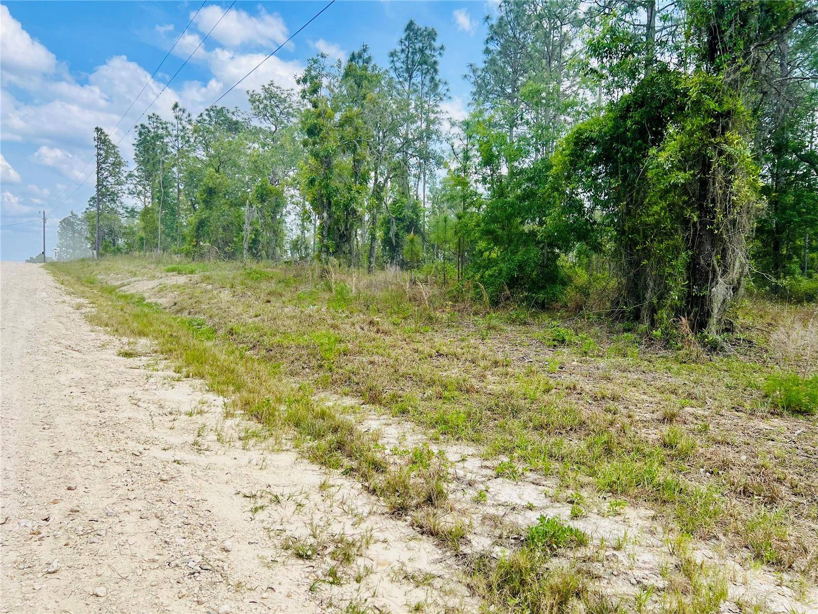 Williston, FL 32696,0000 NE 131 TERRACE TER