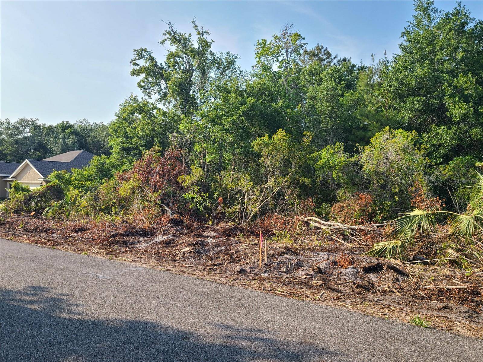 Ocala, FL 34472,00 EMERALD PASS LOOP LOT 8