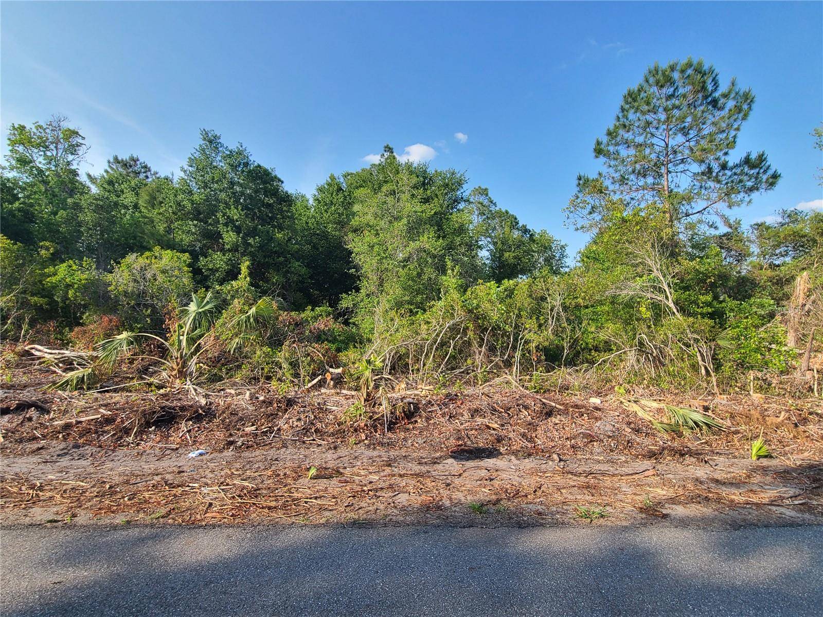Ocala, FL 34472,00 EMERALD PASS LOOP LOT 8