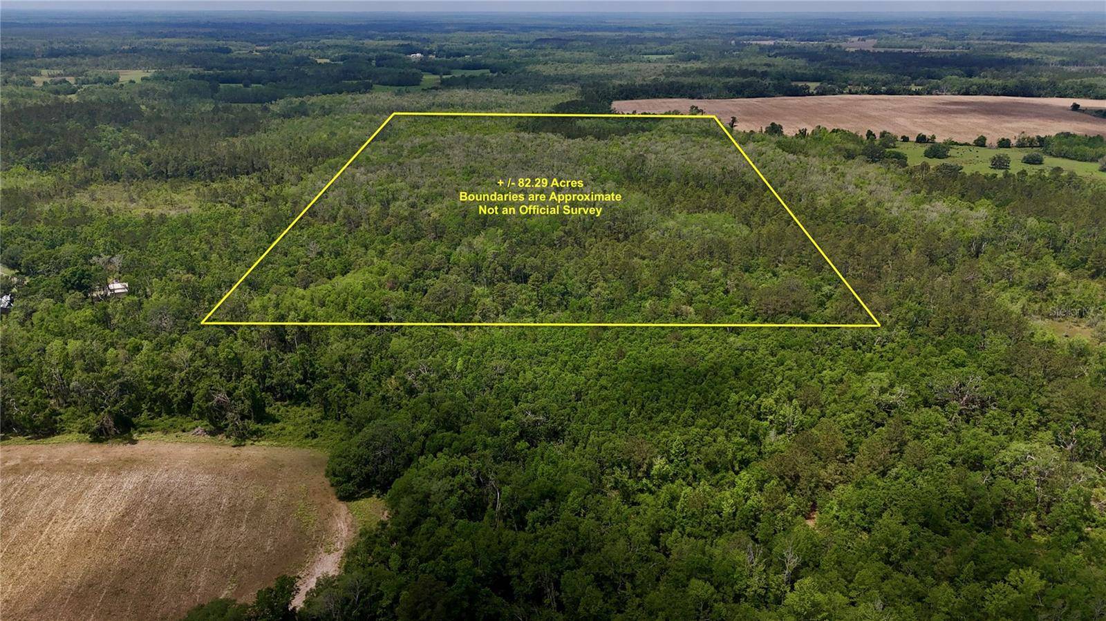 Greenville, FL 32331,SW OVIEDO TRL