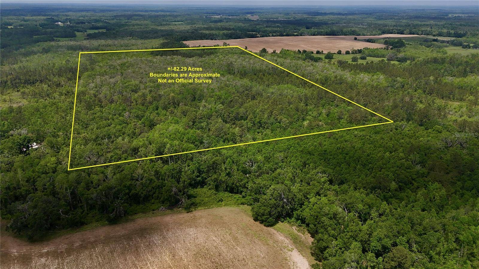 Greenville, FL 32331,SW OVIEDO TRL