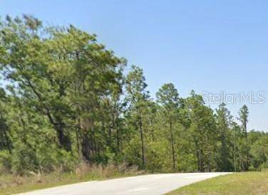 Dunnellon, FL 34431,TBD SW ADMIRAL LANDIND DR