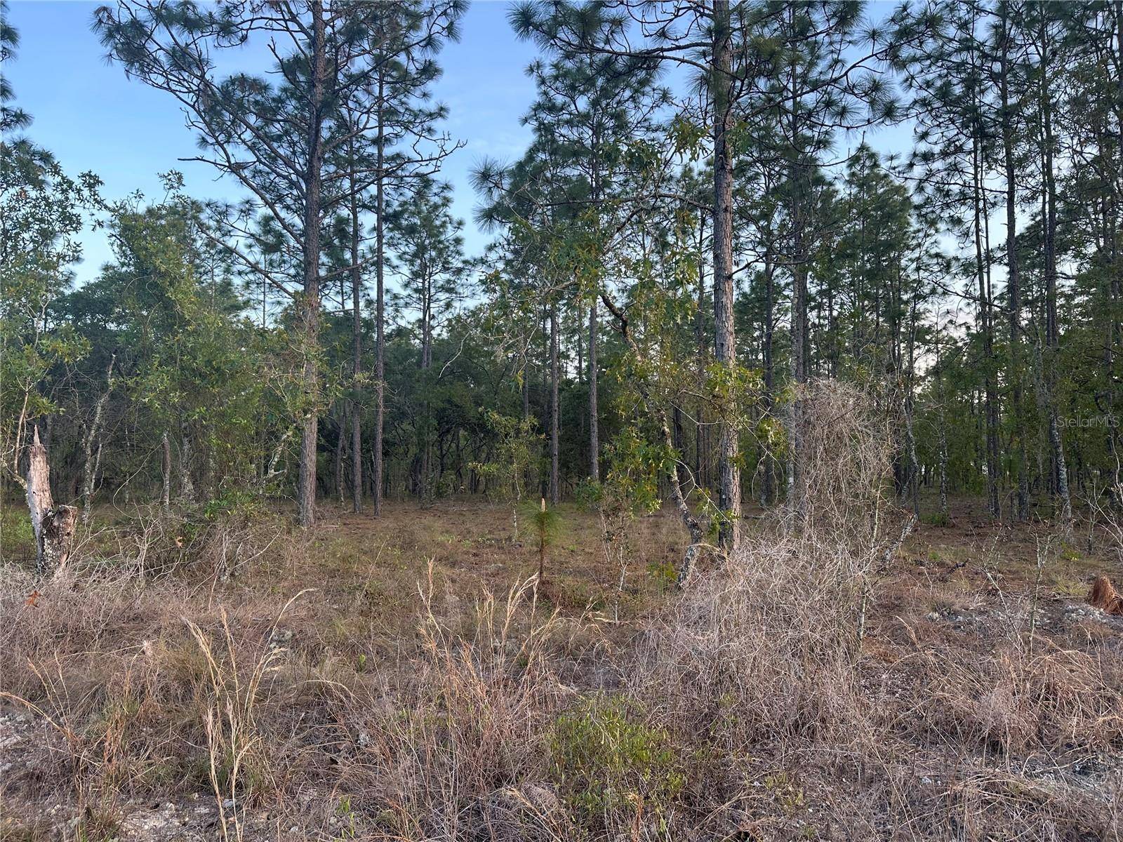 Dunnellon, FL 34431,LOT 3 NW AMBERJACK AVE