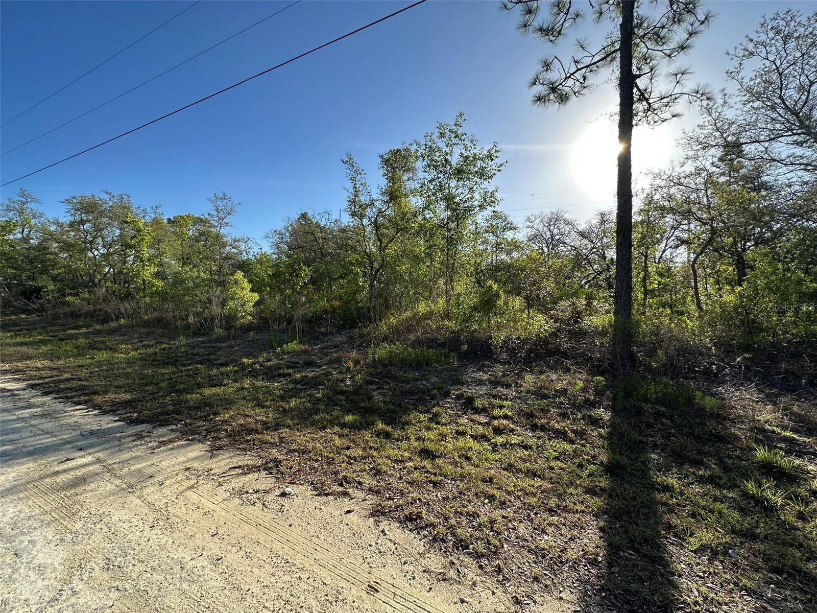 Brooksville, FL 34614,Address not disclosed