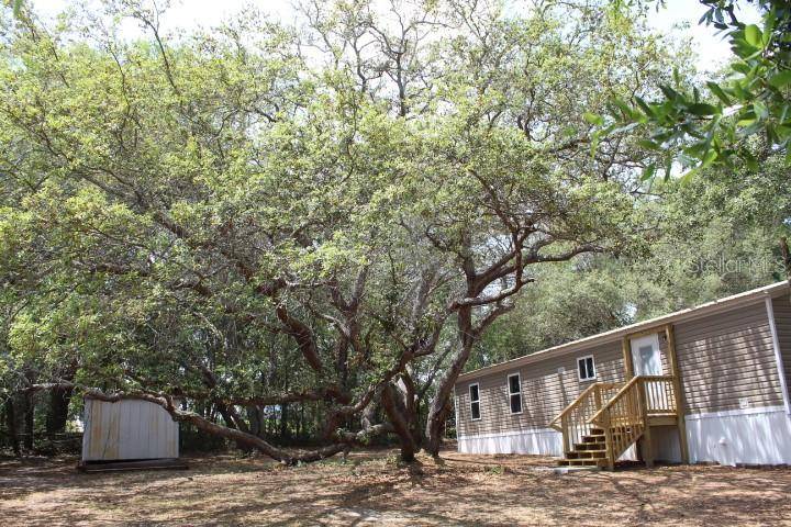 Summerfield, FL 34491,9800 SE 166TH PL