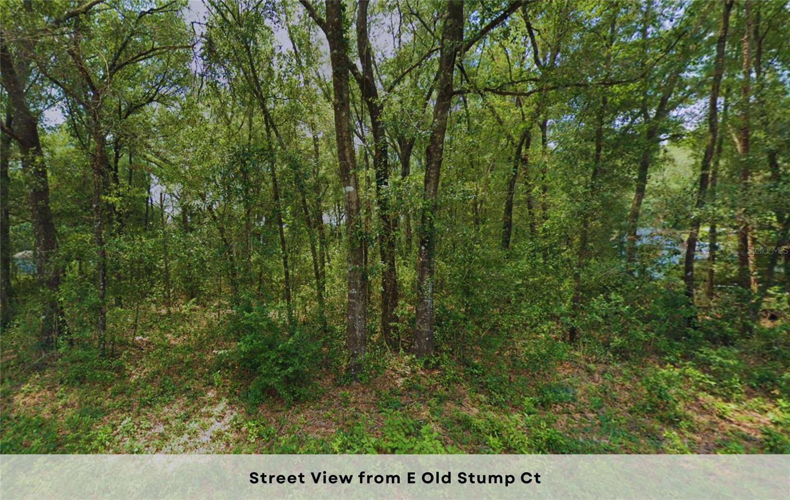 Inverness, FL 34452,5356 E OLD STUMP CT