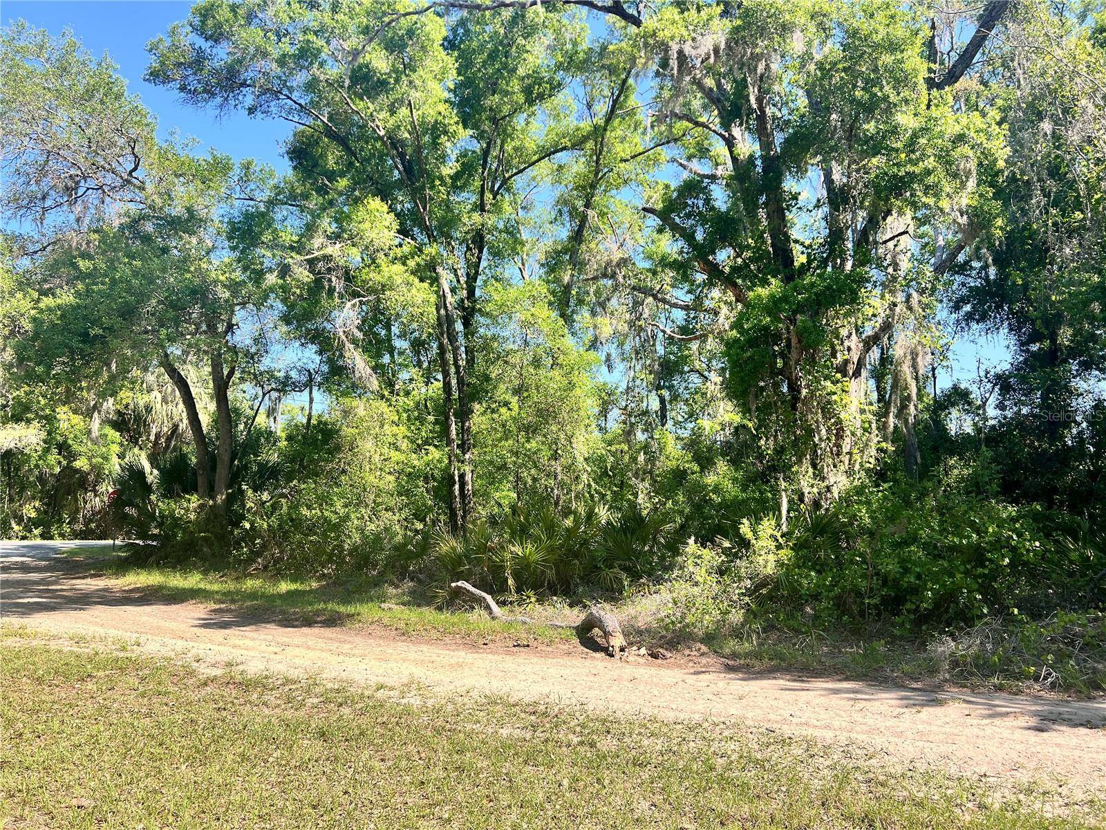 Crystal River, FL 34428,9781 W POMELO LN