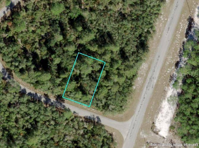 Ocklawaha, FL 32179,TBD FISHER LOOP RUN