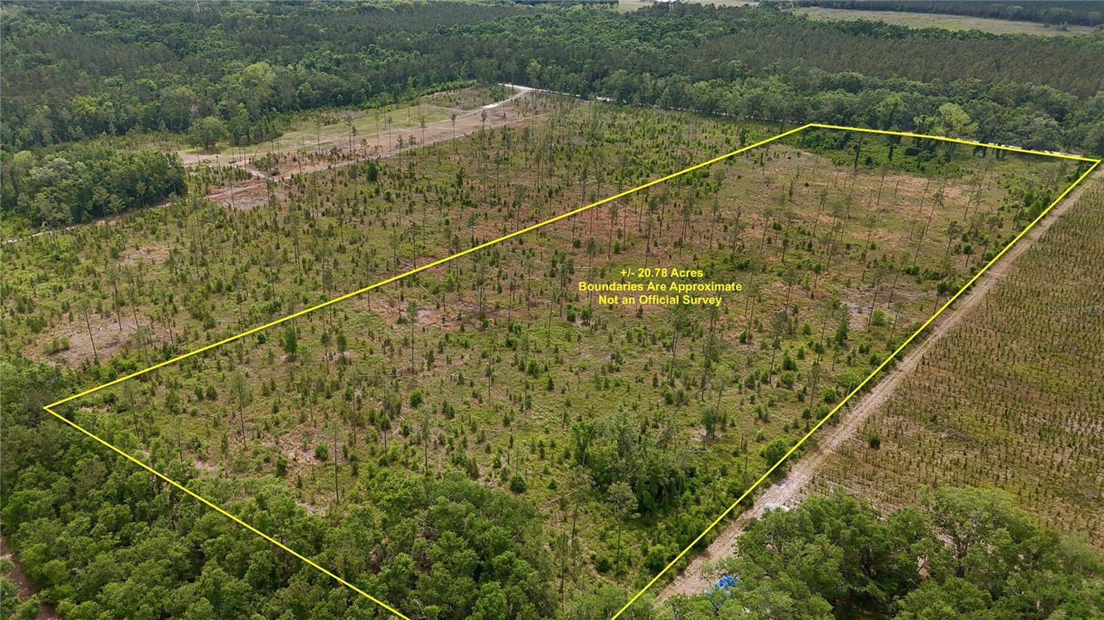 Live Oak, FL 32060,99TH LANE