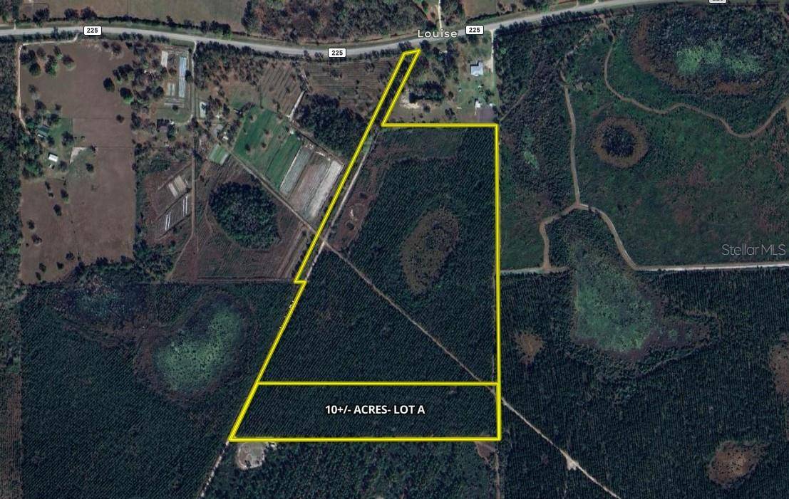 Gainesville, FL 32609,OFF LOUISE RD.