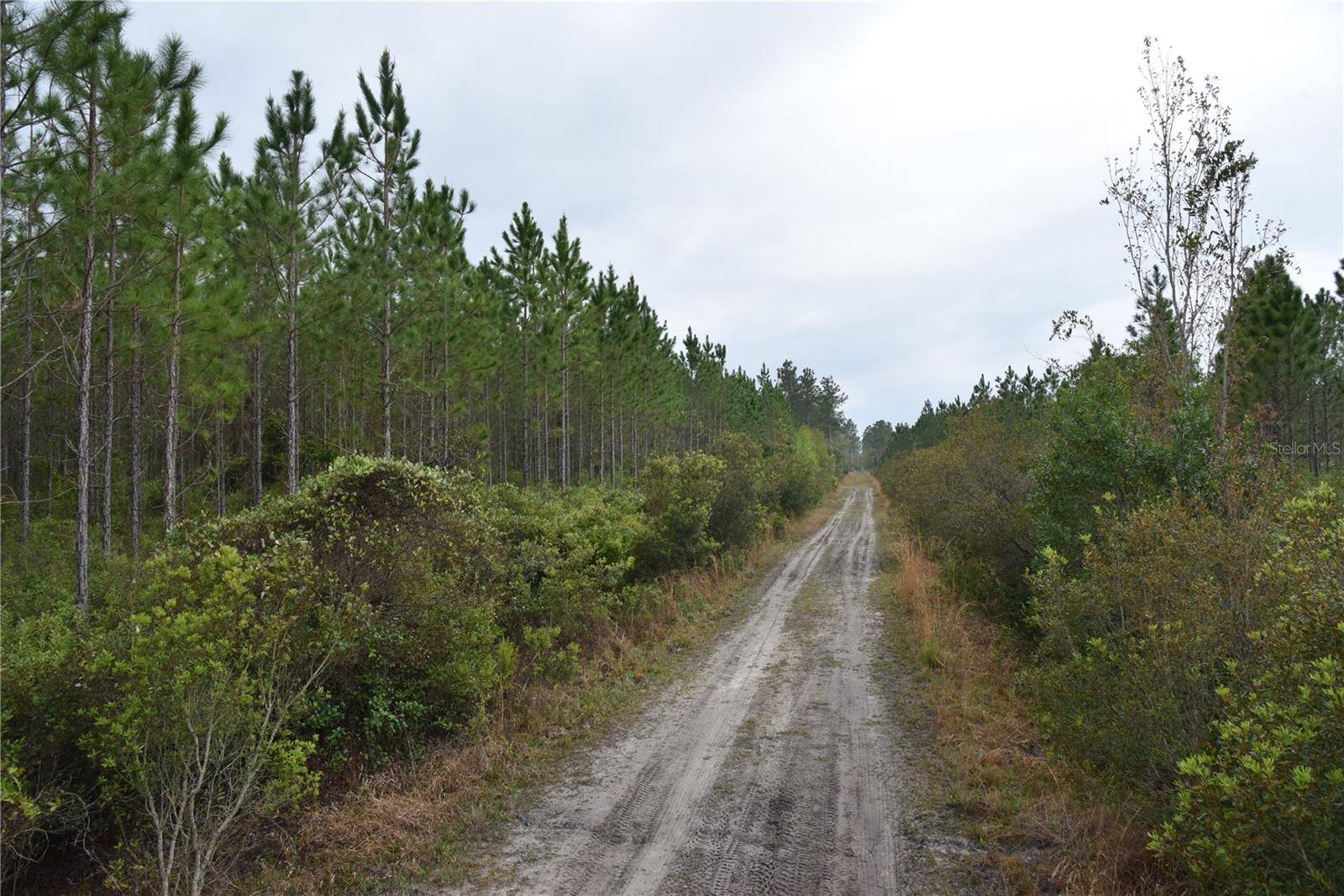 Gainesville, FL 32609,OFF LOUISE RD.