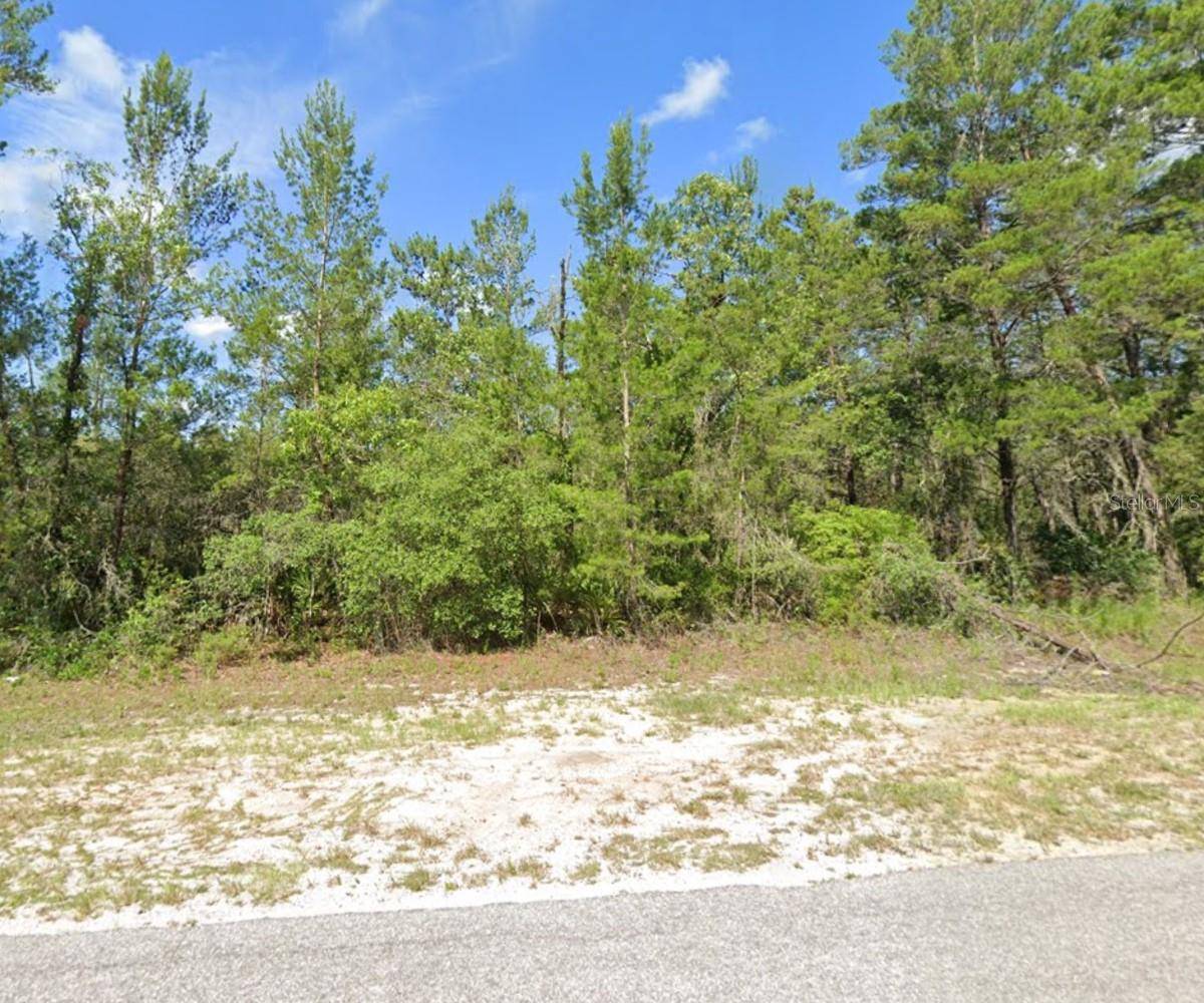 Ocklawaha, FL 32179,TBD FISHER RD