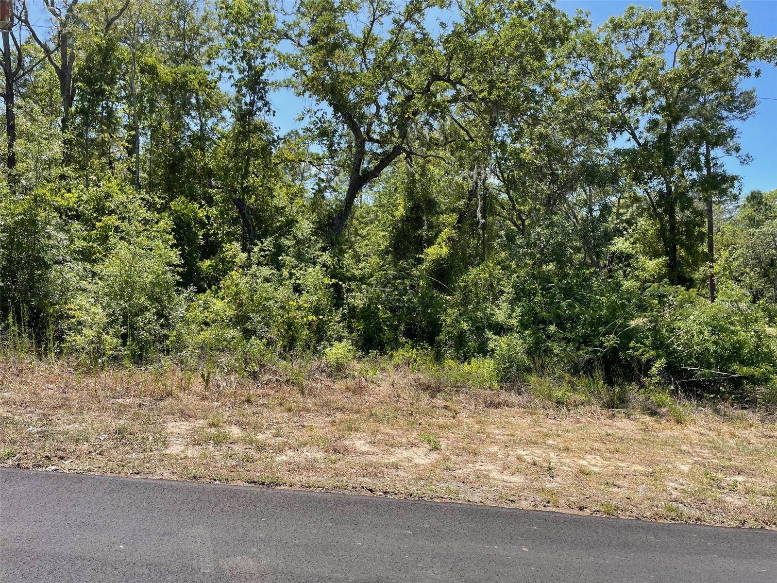 Lecanto, FL 34461,5437 W CINNAMON RIDGE DR