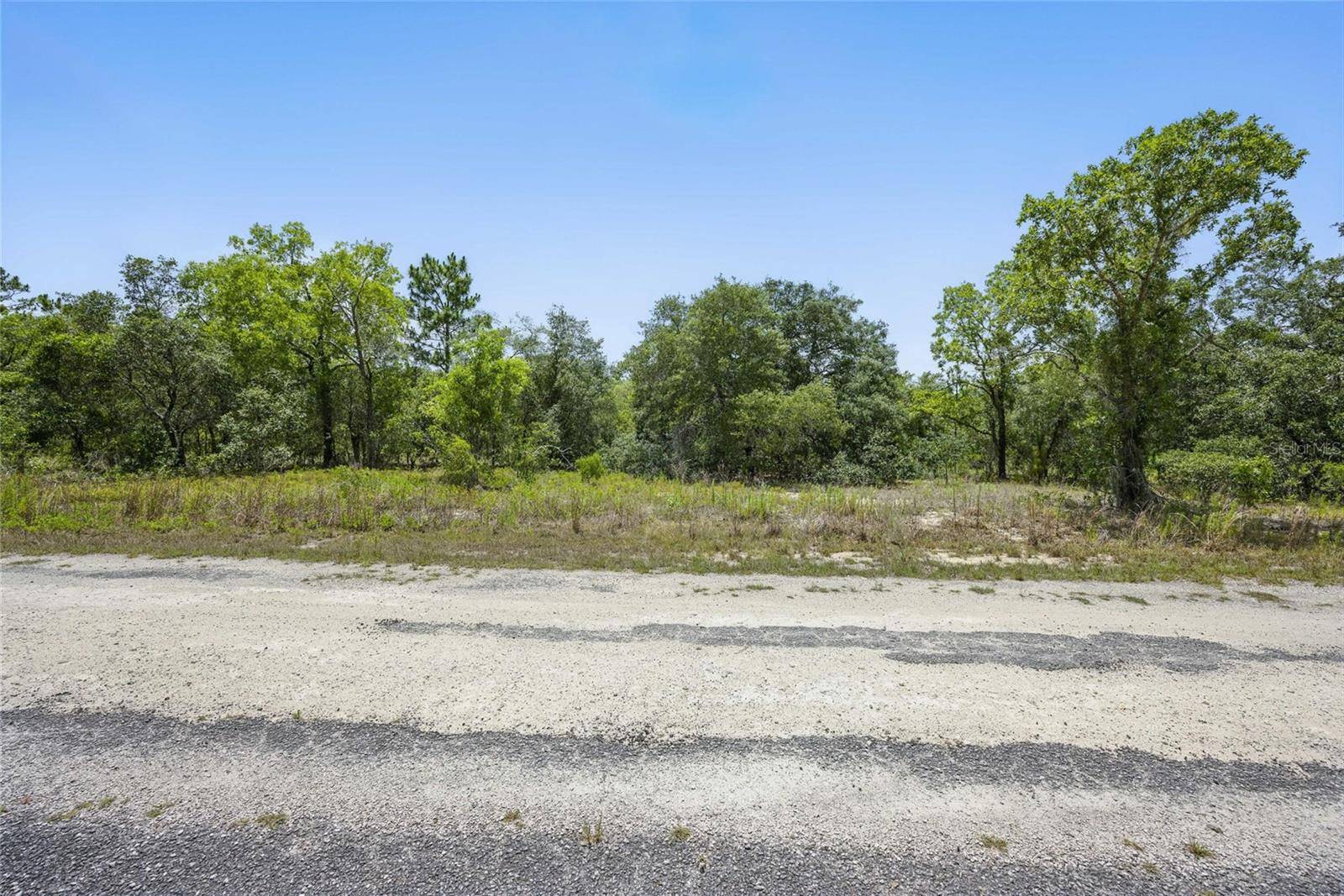 Dunnellon, FL 34431,Lot 6 SE 134TH COURT