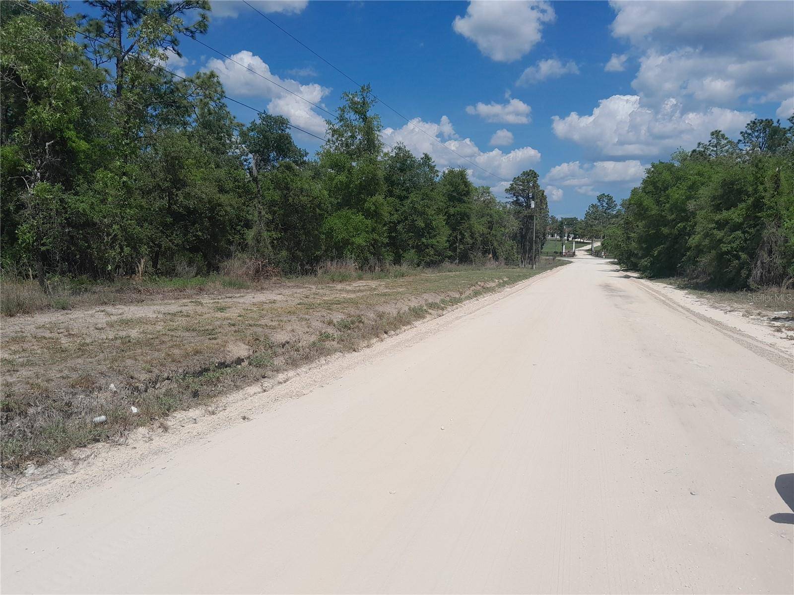 Williston, FL 32696,tbd NE 63RD PL