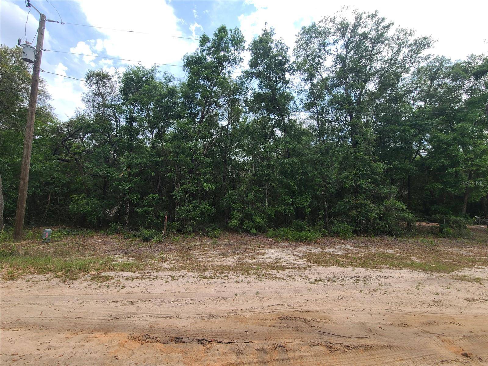 Keystone Heights, FL 32656,6504 BAYLOR AVE