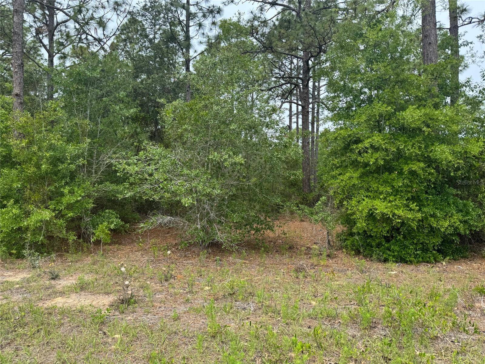 Dunnellon, FL 34431,SW FLORAL COURT LOT 12