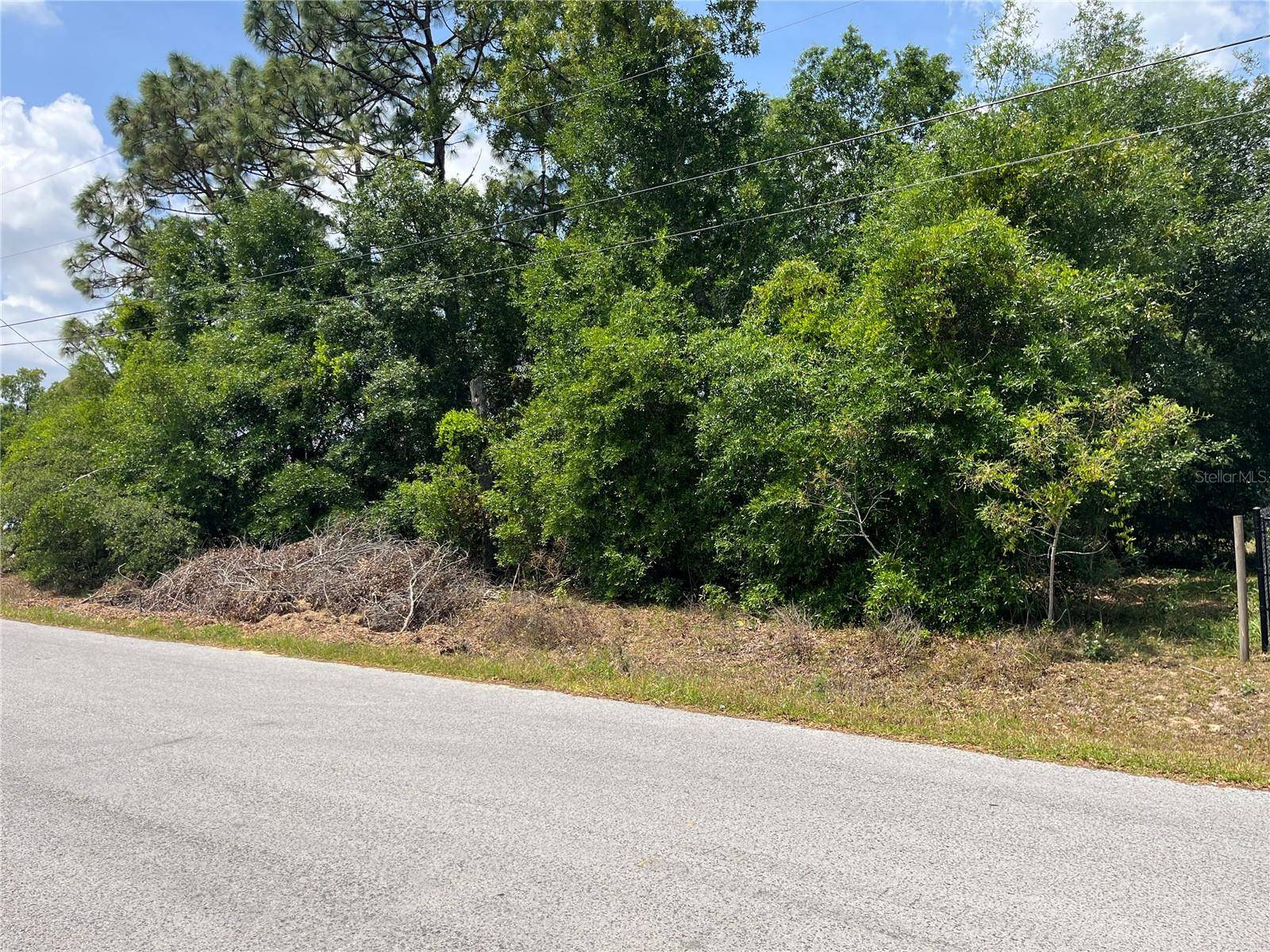 Summerfield, FL 34491,TBD SE 98TH CT