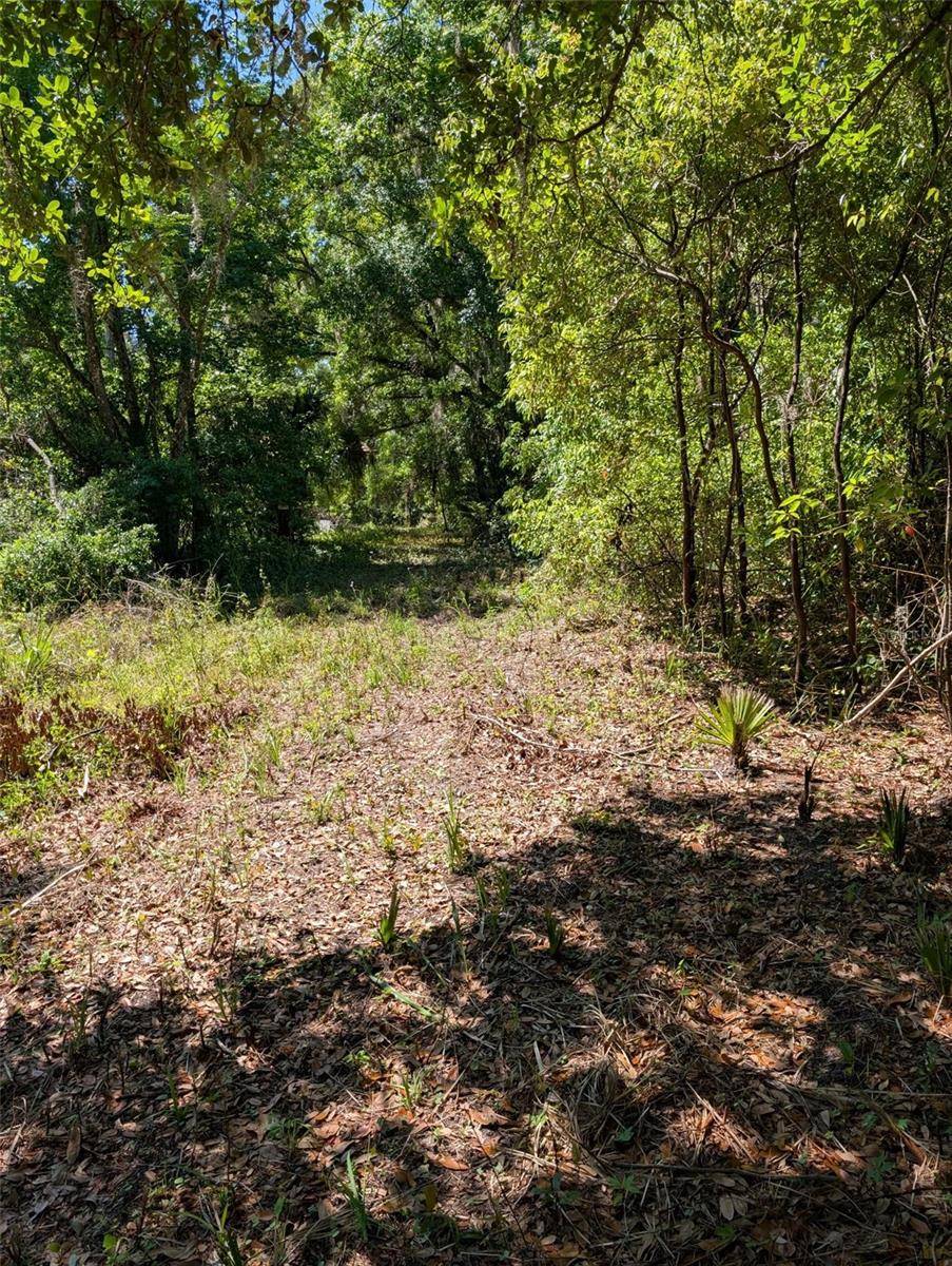 Mc Intosh, FL 32664,0 NW 202ND PL