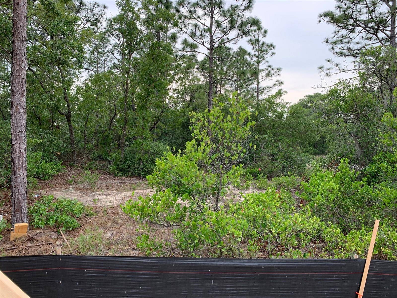 Citrus Springs, FL 34433,9016 N LANSEN WAY