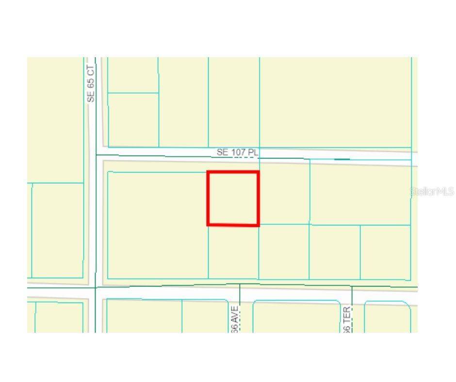 Belleview, FL 34420,6556 SE 107TH PL