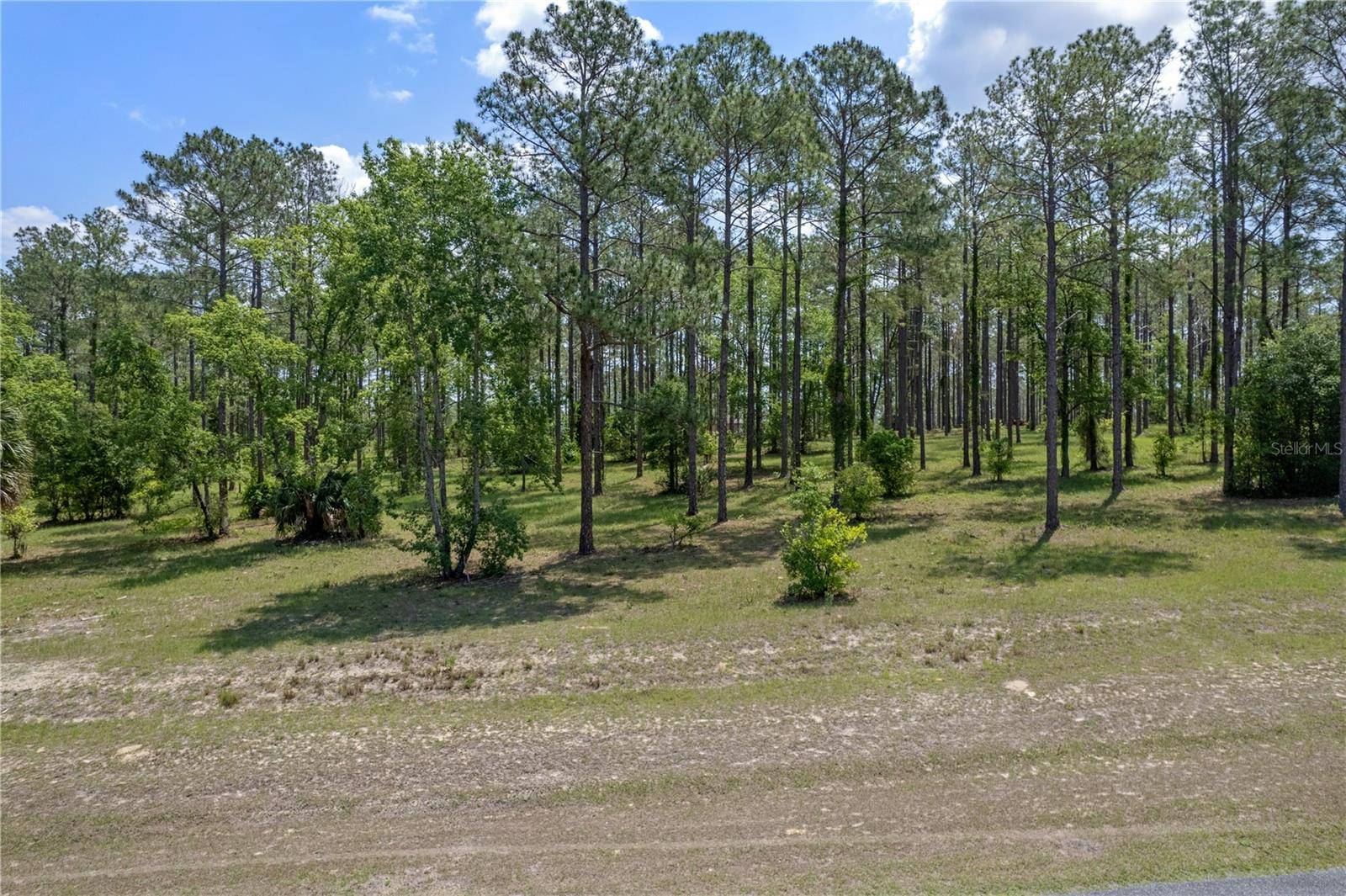 Eustis, FL 32736,35408 PINEGATE TRL
