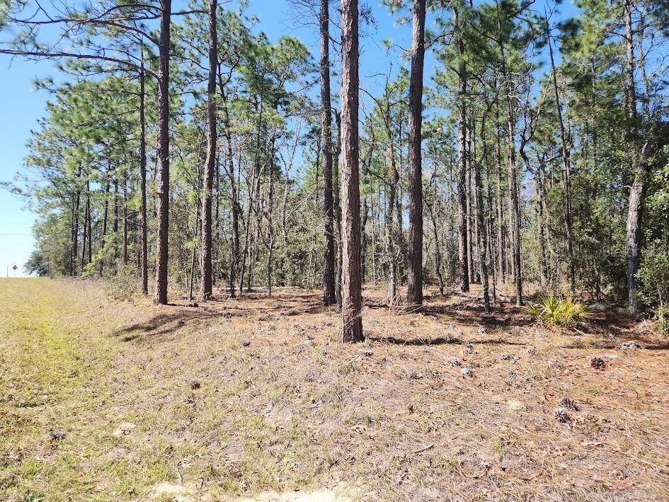 Ocala, FL 34481,Lot 12 SW 66TH ST