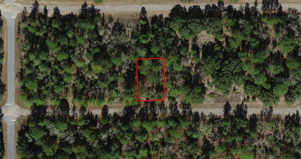 Dunnellon, FL 34434,2321 W BENTLEY ST