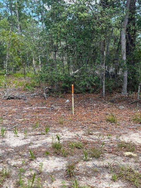 Interlachen, FL 32148,TBD SW 57TH AVE #48 & 49