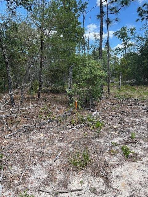 Interlachen, FL 32148,TBD SW 57TH AVE #48 & 49
