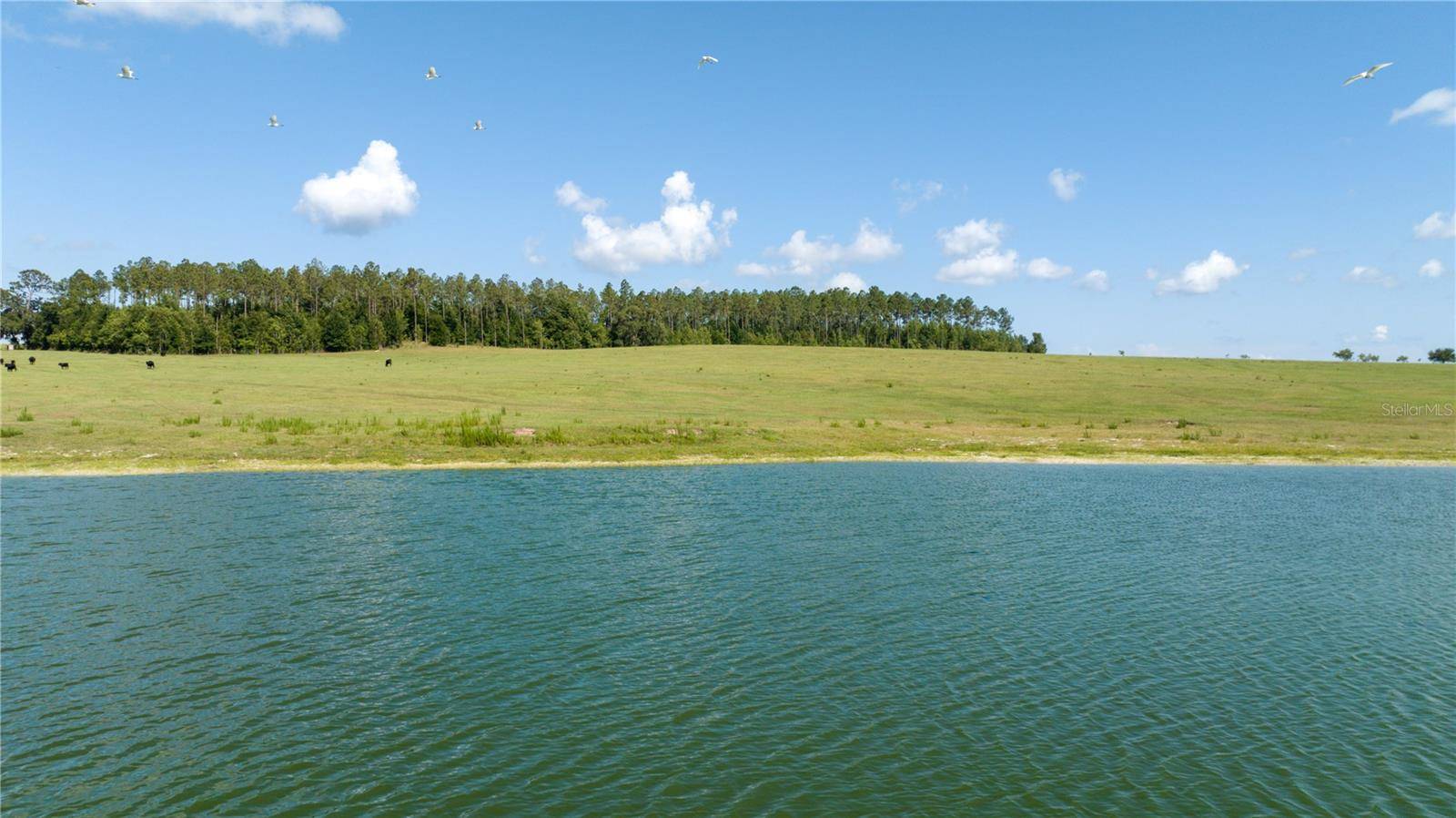 Dunnellon, FL 34431,00 SW 220TH AVE
