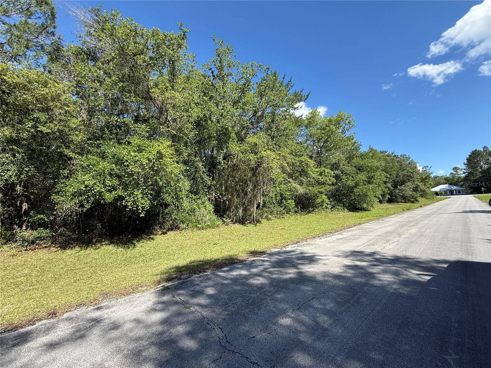 Ocala, FL 34473,88TH AVE
