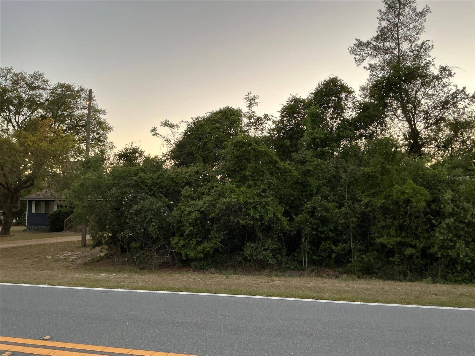 Ocklawaha, FL 32179,SE 145TH AVE