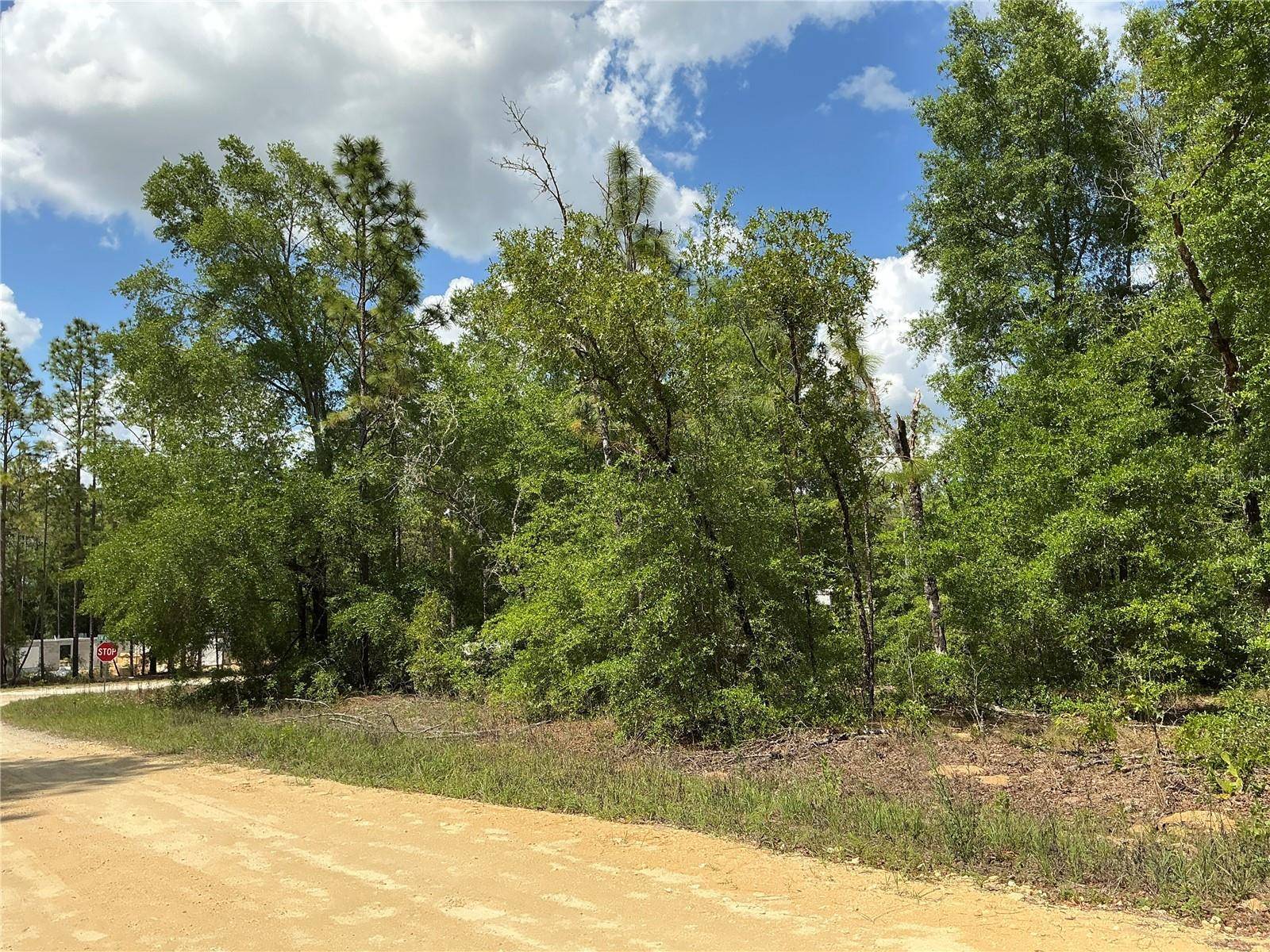 Ocala, FL 34481,SW 64TH ST