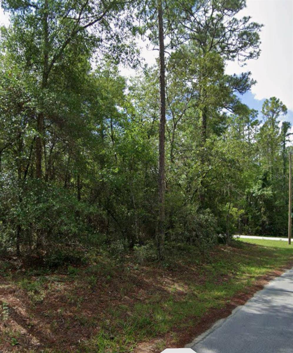 Dunnellon, FL 34432,SW 178TH TER