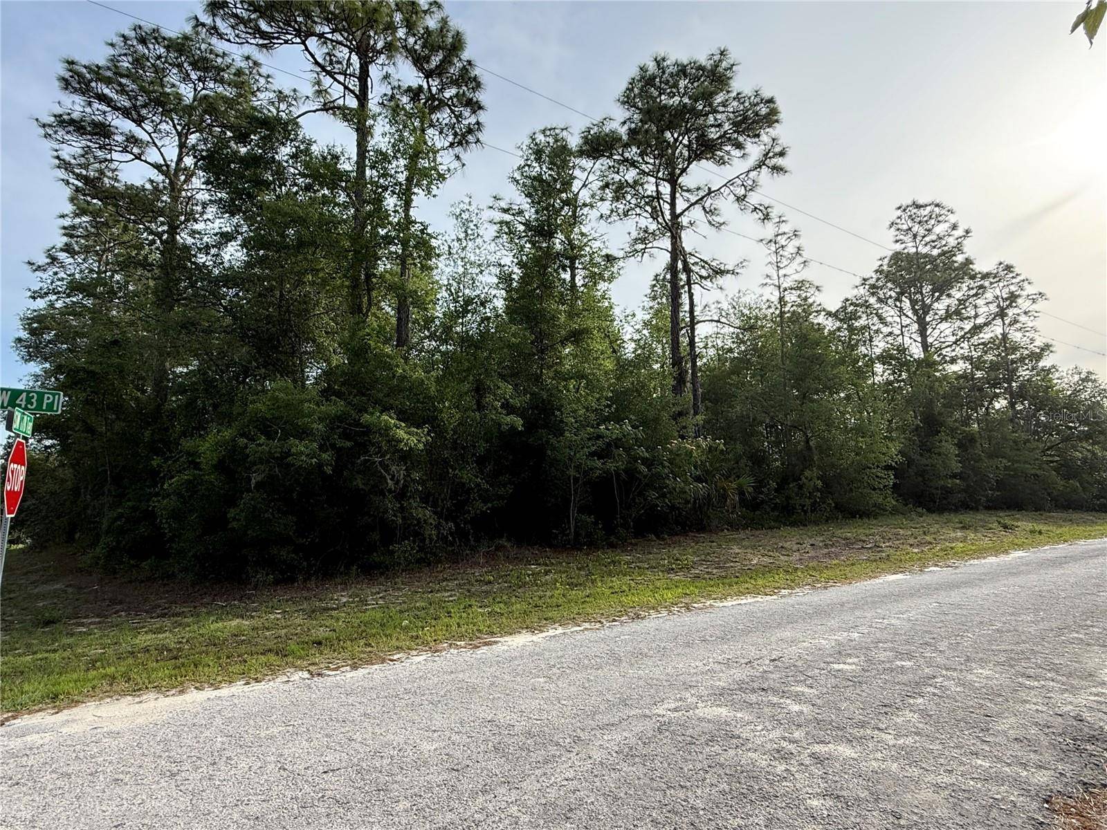 Dunnellon, FL 34432,SW 178TH TER