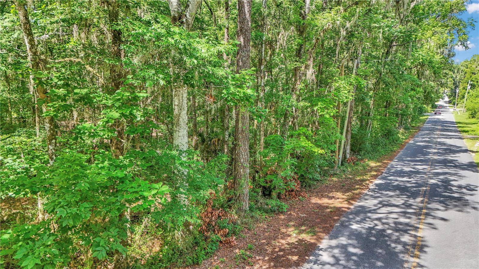 Belleview, FL 34420,SE 130TH ST