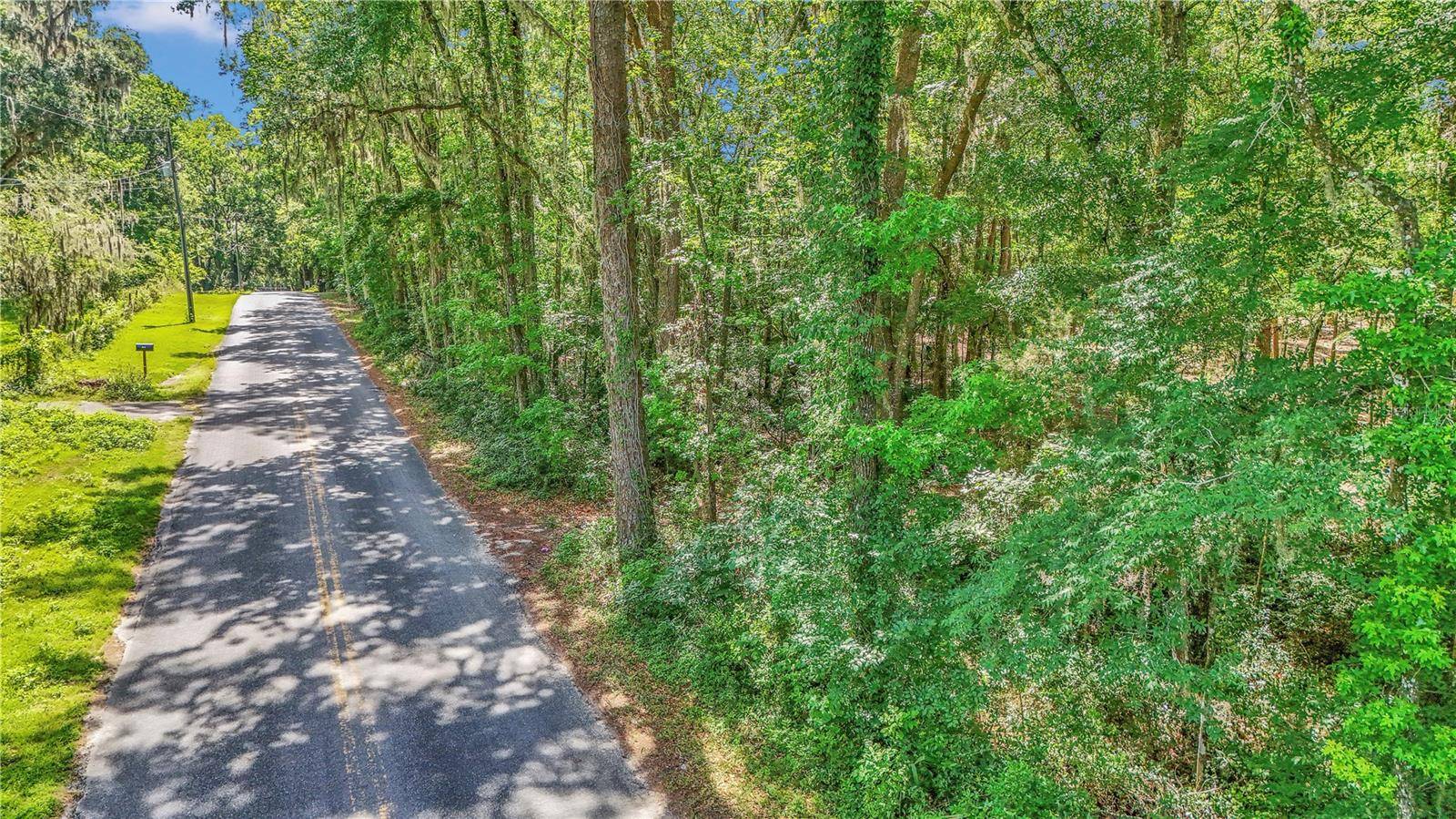 Belleview, FL 34420,SE 130TH ST