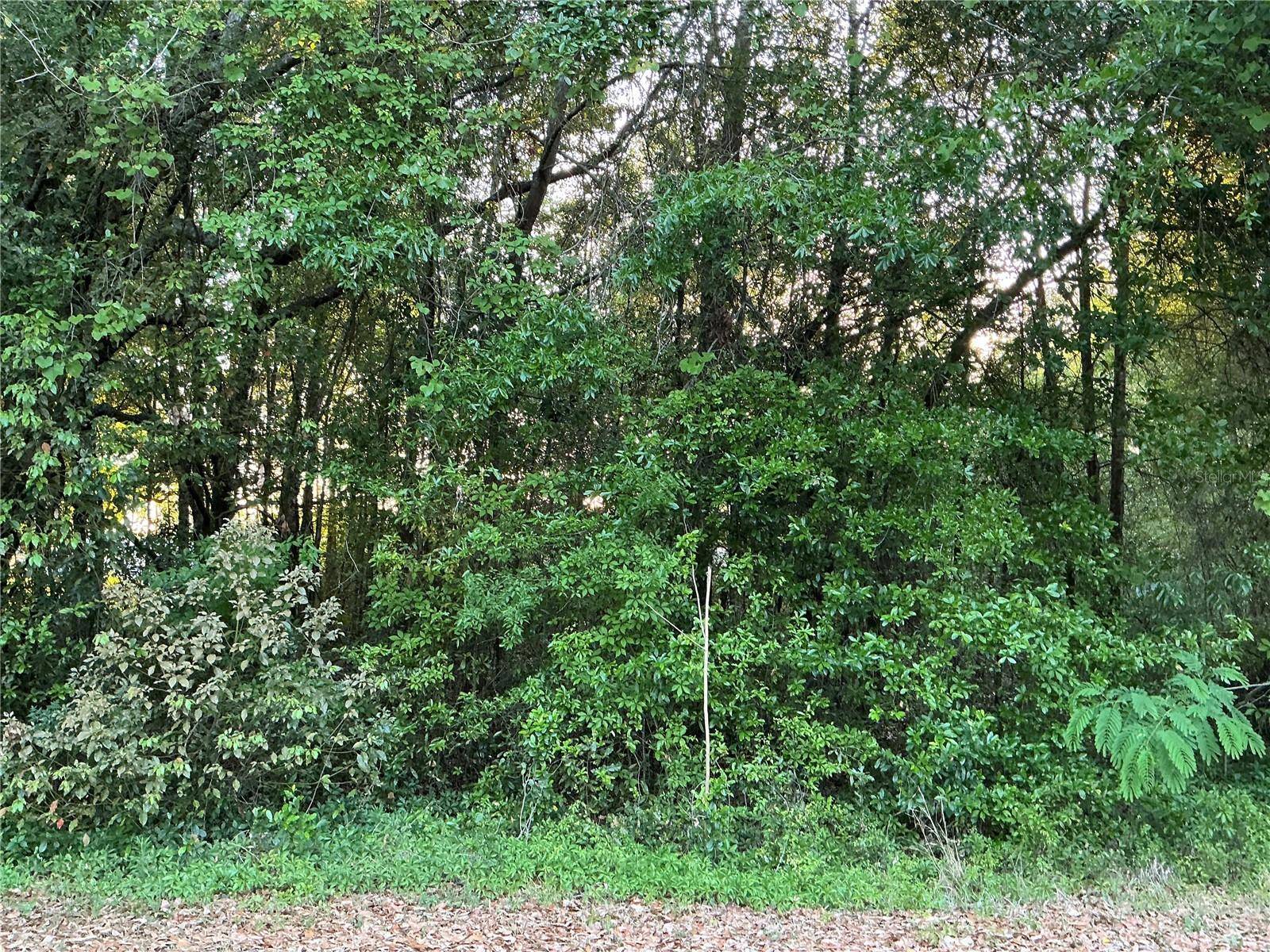 Ocala, FL 34472,0 PINE TRACE CRSE