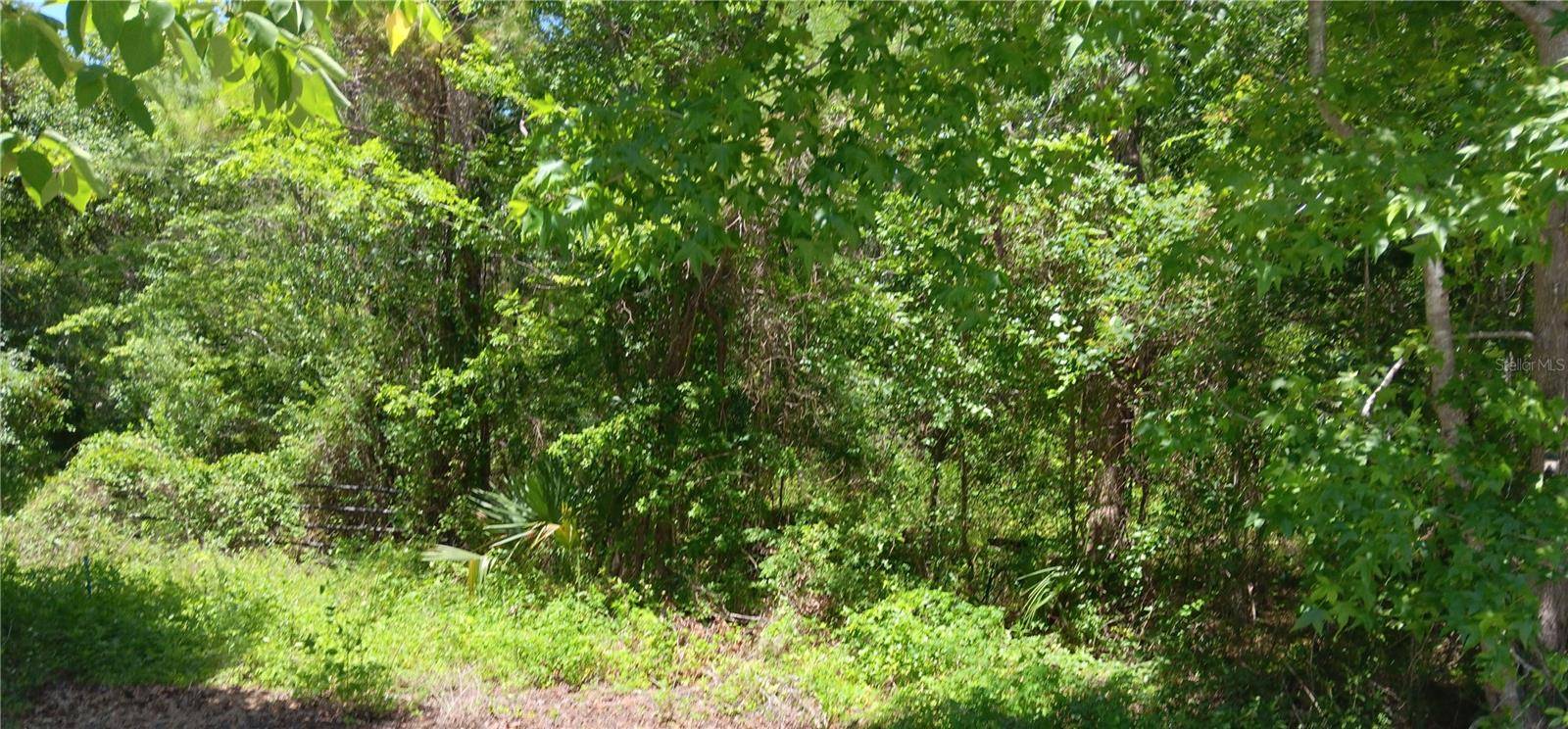 Ocala, FL 34482,00 NW 82 CT