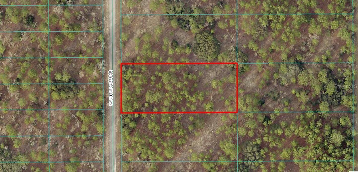 Dunnellon, FL 34431,TBD LOT 24 SW LITTLE CLIFFS DR