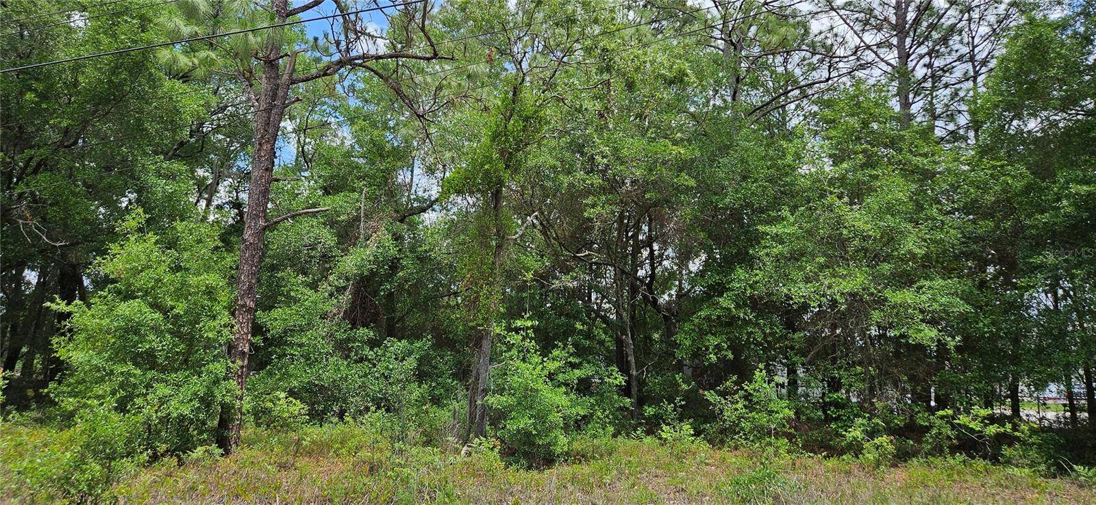 Ocala, FL 34482,TBD NW 52ND AVE