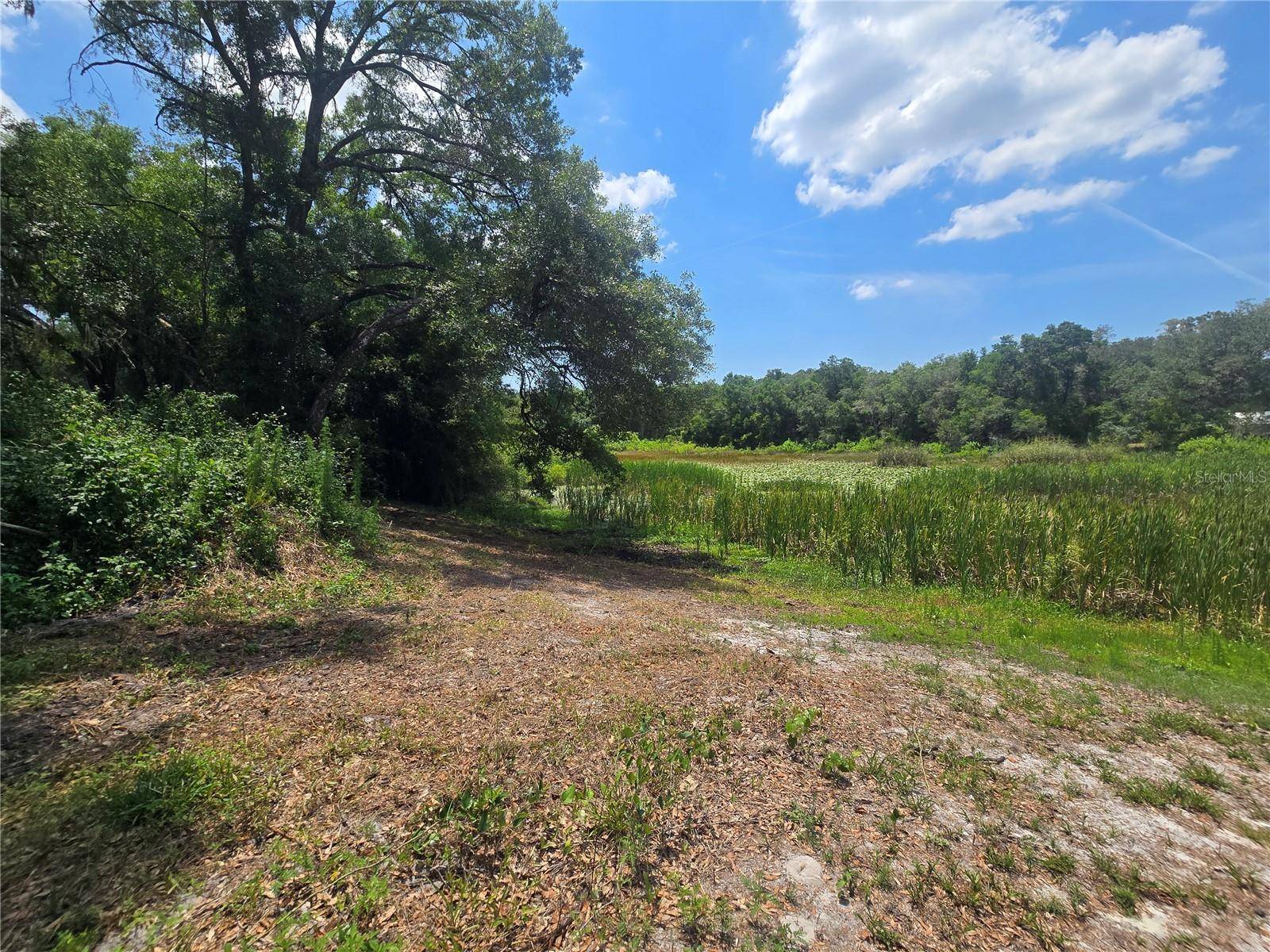 Hernando, FL 34442,6532 N IRIS DR