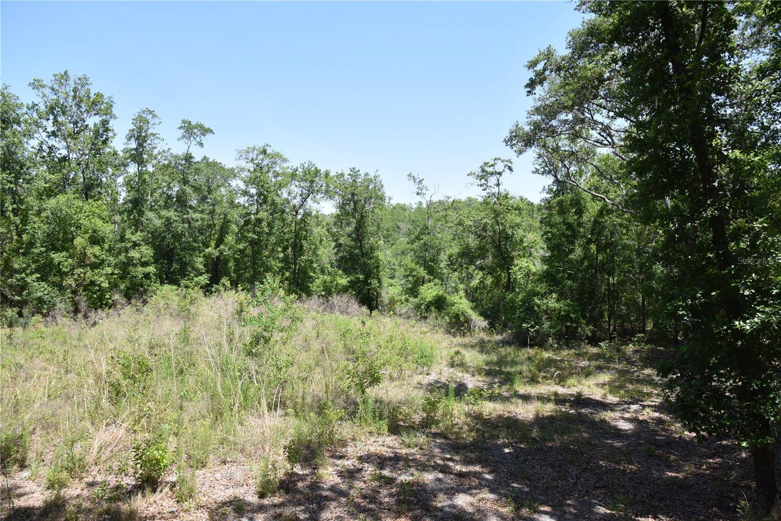 Melrose, FL 32666,21312 NE 69TH PL