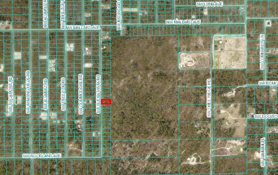 Dunnellon, FL 34431,0 SW BUENA VISTA RD