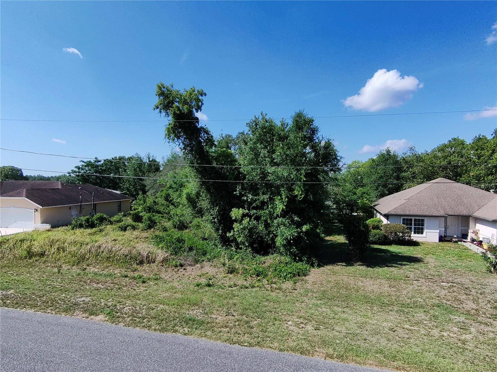 Ocala, FL 34472,OLIVE RD