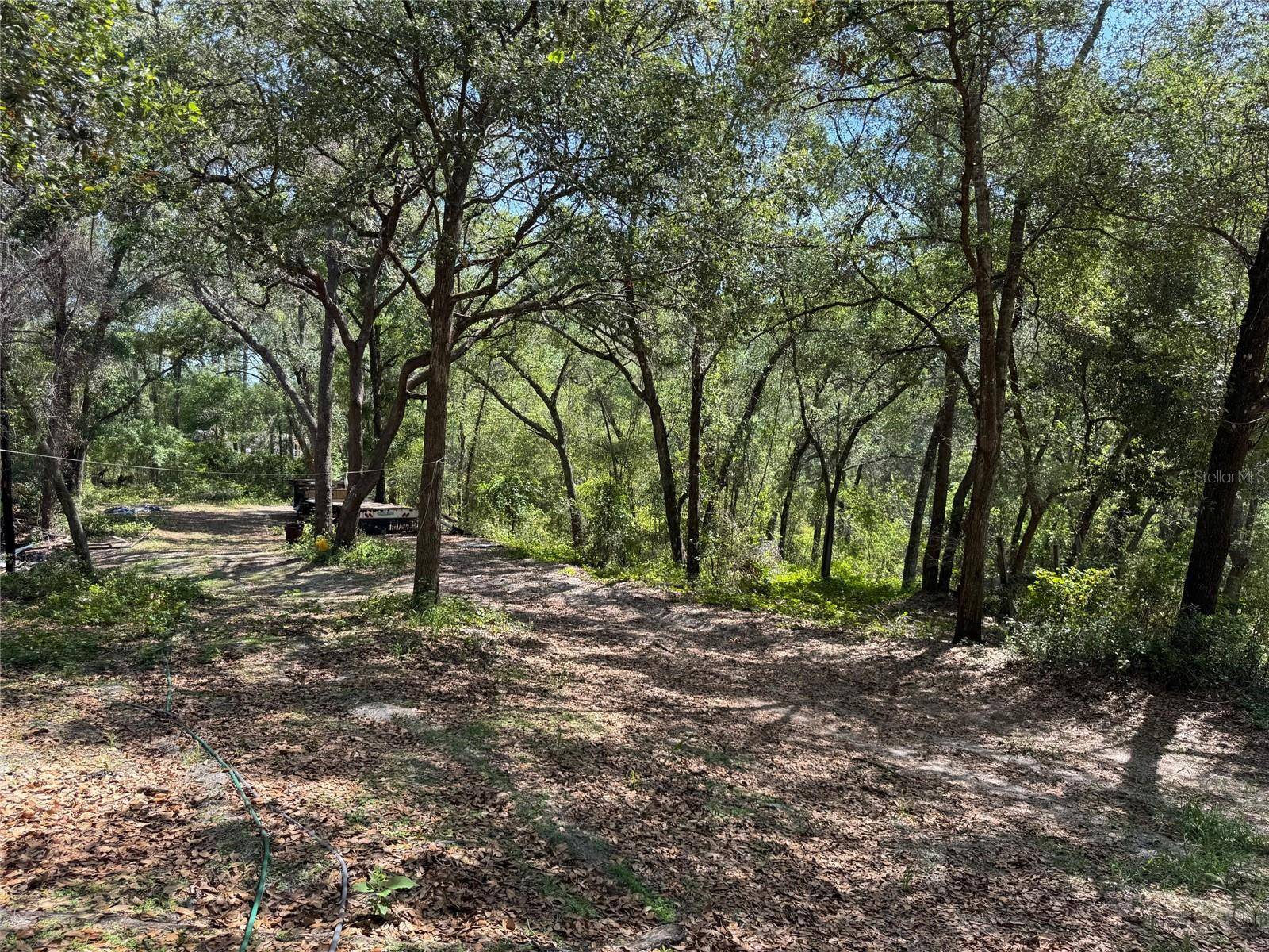 Ocklawaha, FL 32179,16137 SE 34TH PL